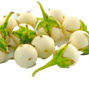 White eggplant 500 grams