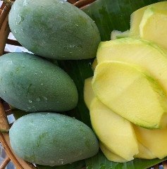 Phet Ban Lat mangoes 1kg
