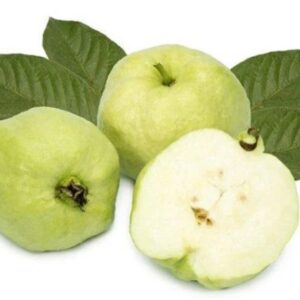 Guava (Kimju variety) 1 kg