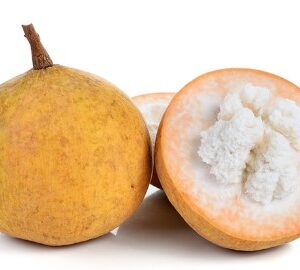 Santol fruit 1 kg
