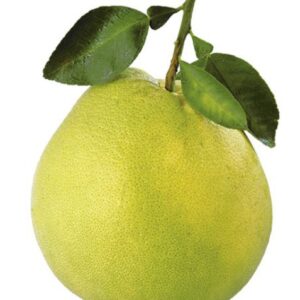 Per pomelo (2-3 kg/fruit)
