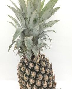Phuket pineapples, 5 pieces/pack./fruits