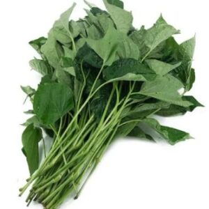 Wild Betel Leaf Bush 250 gram