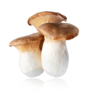 Oyster Mushrooms Large , 0.5 kg