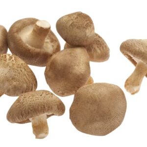 Fresh shiitake mushrooms, Thailand, 0.5 kg