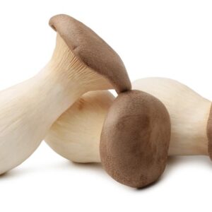Oyster Mushrooms Small  0.5 kg.