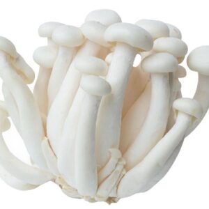 Reishi mushrooms 0.5 กก