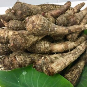 Taro, 1 kg