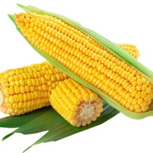 Corn (Fresh) 1 kg