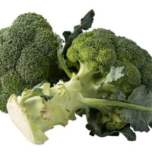 V018Broccoli.jpg
