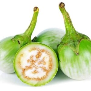 V032Chao Phraya Eggplant.jpg