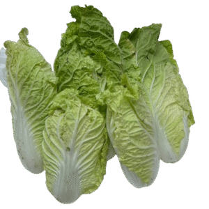 Chinese cabbage 1 kg.