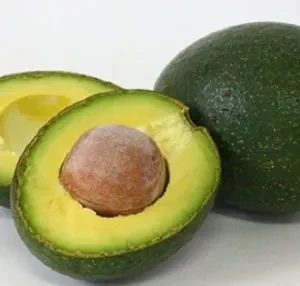 F044 Avocado.jpg