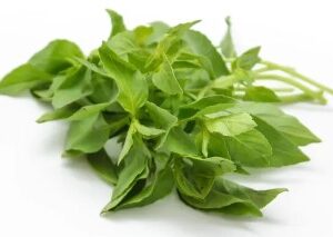 Basil leaves 0.5 kg.