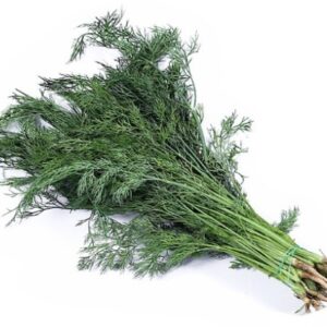 Dill Coriander  300 g.