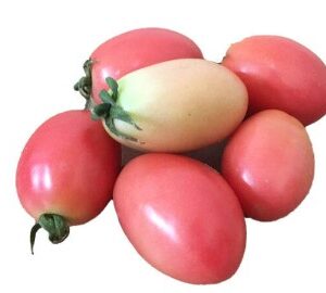 Tomatoes cherry  1 kg