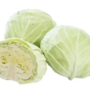 กะหล่ำปี.jpg