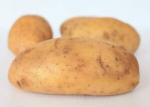 มันฝรั่งไทย เบอร์ โอ 5 กก