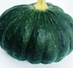 Young pumpkin / 1-2 fruits 1 kg