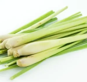 Lemongrass 0.5 kg