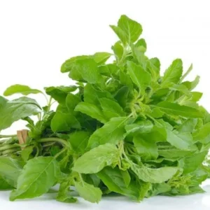 Basil 500 gram