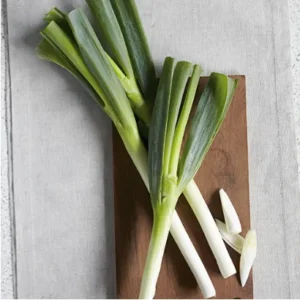 Bunching Onion 3 kg.