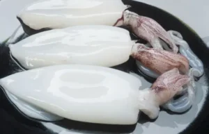 หมึกกล้วยลอก (ใหญ่) 1 กก.