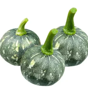 Young pumpkin  5 kg