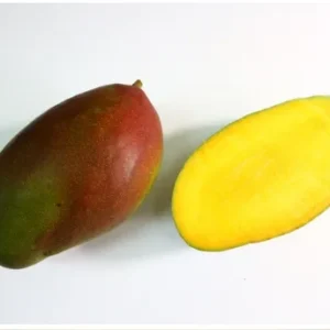 Palmer Mango