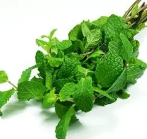 Mint 300 grams