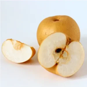 Asian Pear (Yokoyama Wase)