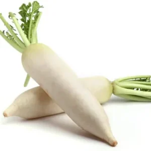 White Radish