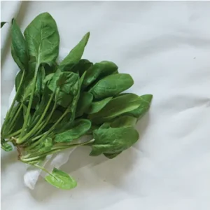 Baby Spinach