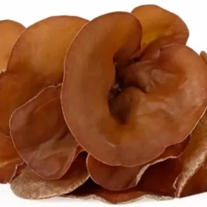 Black Jelly Fungus Mushroom 1kg.