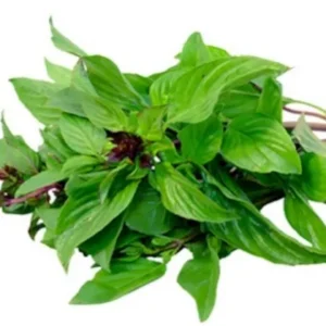 Basil leaves (Big leavees)500 gram