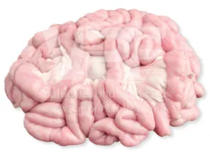 ไส้อ่อนหมู 1 กก